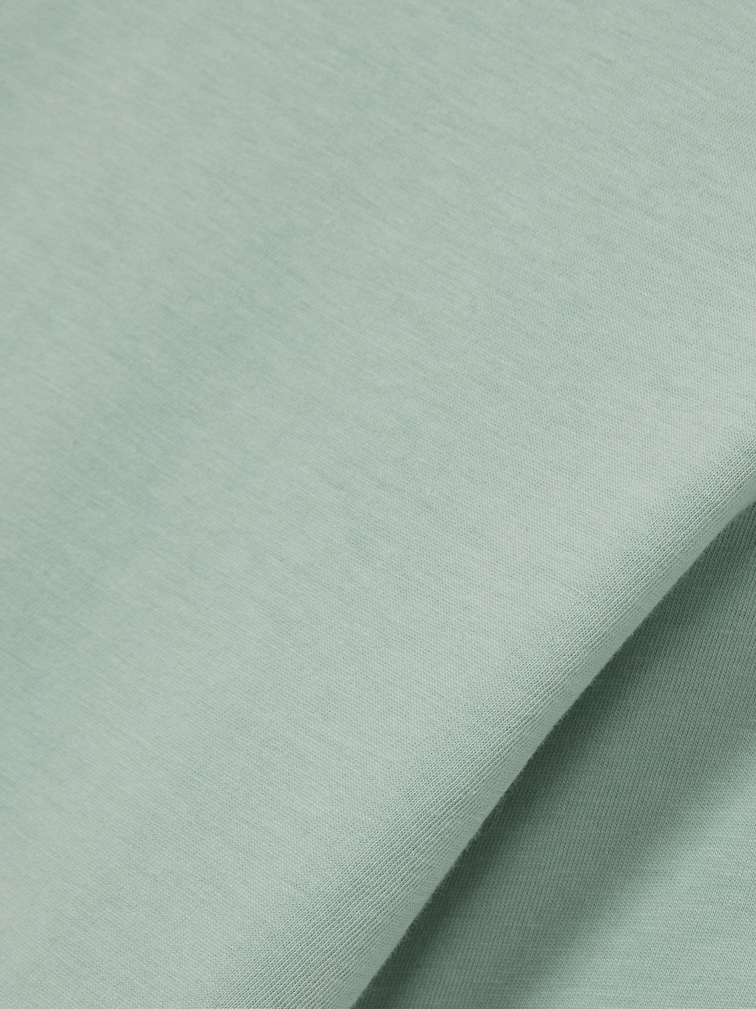 Reiss Cotton Crew Neck T-Shirt in Mint Green