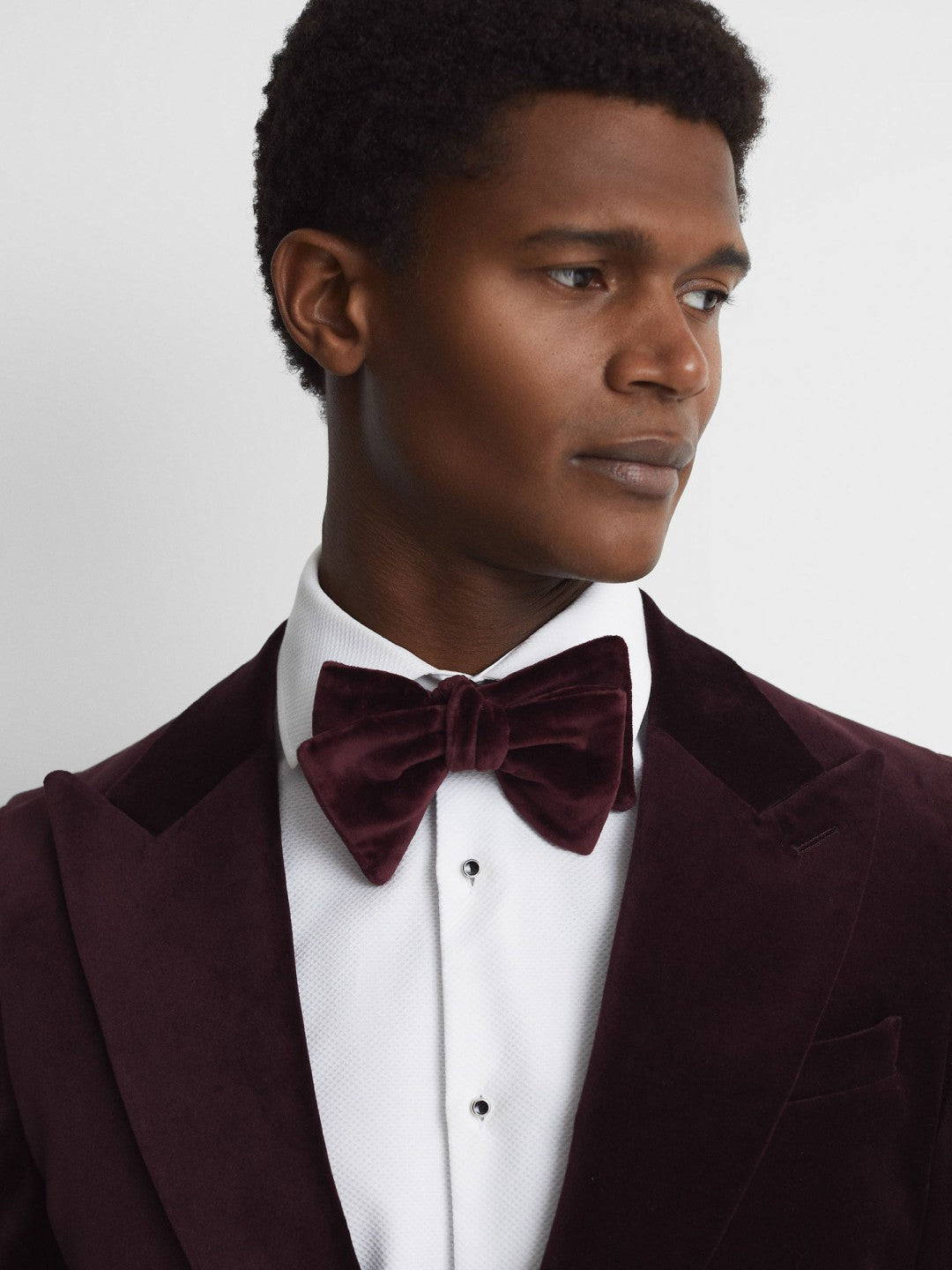 Reiss Best Seller - Velvet Bow Tie in Bordeaux