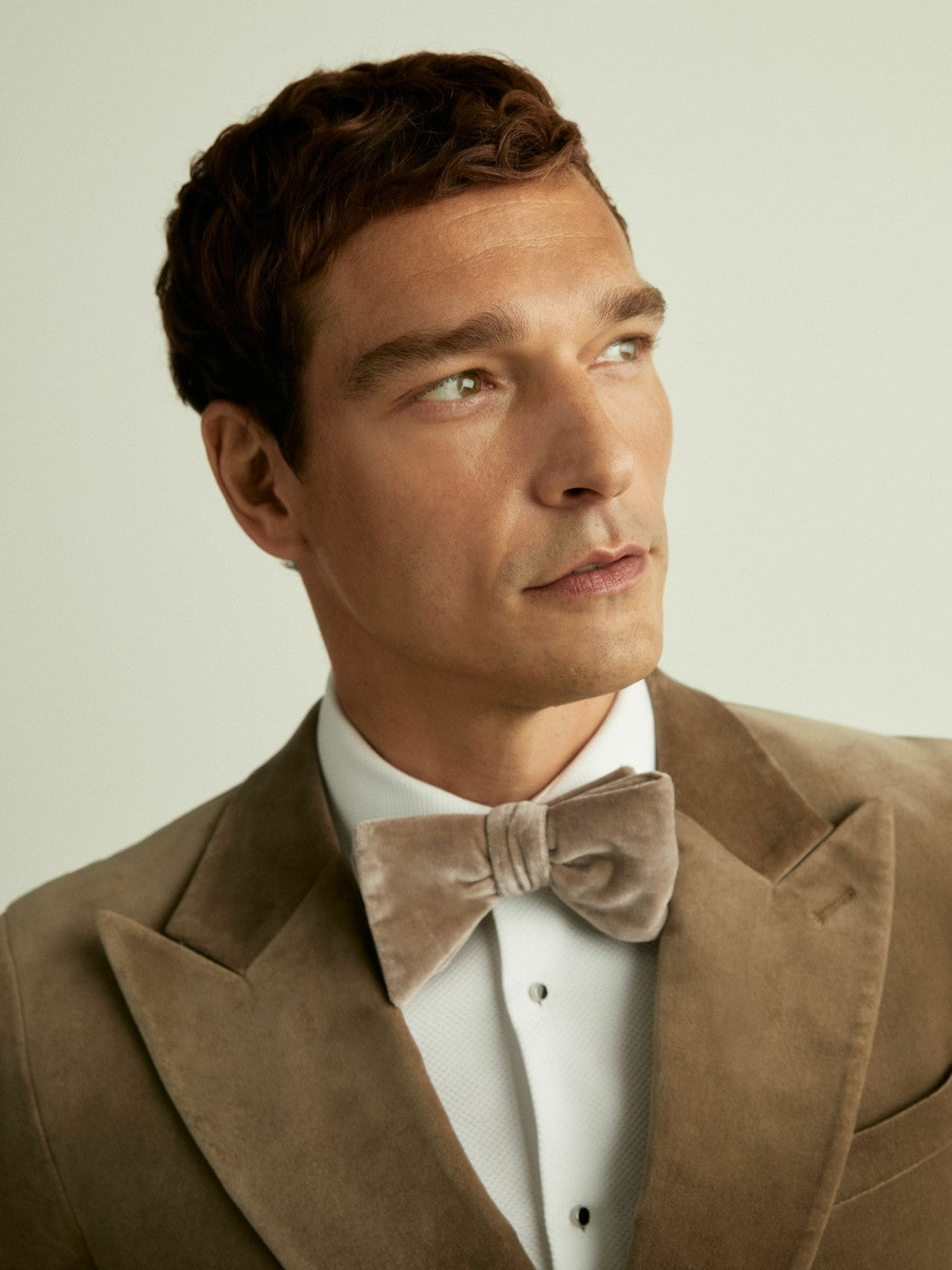 Reiss Best Seller - Velvet Bow Tie in Taupe Brown