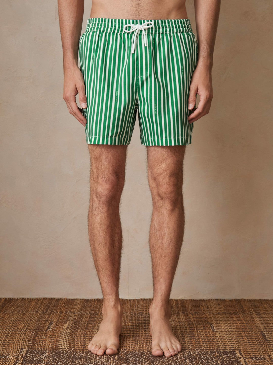 Reiss Popular Choice - | Ché Stripe Swim Shorts in Green/White
