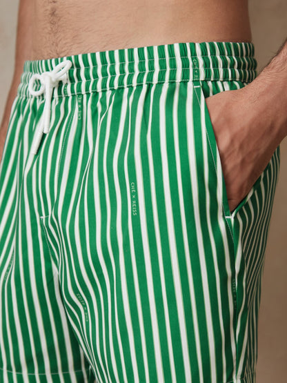 Reiss Popular Choice - | Ché Stripe Swim Shorts in Green/White