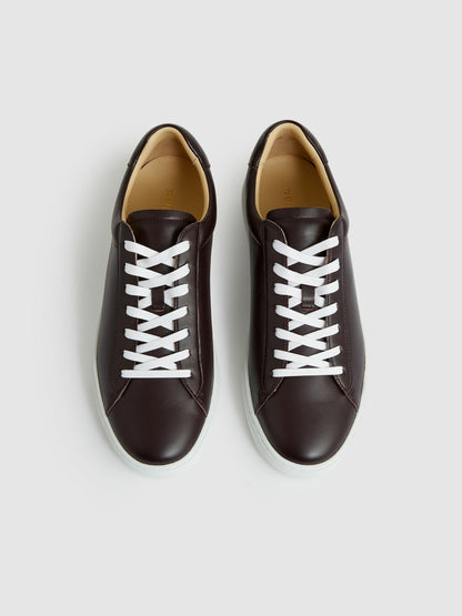 Reiss Sale - Leather Low-Top Trainers in Plum Purple