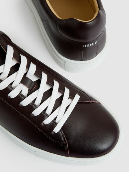 Reiss Sale - Leather Low-Top Trainers in Plum Purple
